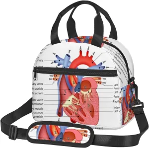 Heart Anatomy,Insulated Reusable Lunch Bag with Adjustable Shoulder Strap for Adults,Medical Structure of The Heart Anatomy,Leakproof Office Picnic Hiking Beach Tote Bag,Red,9x5x7.8in