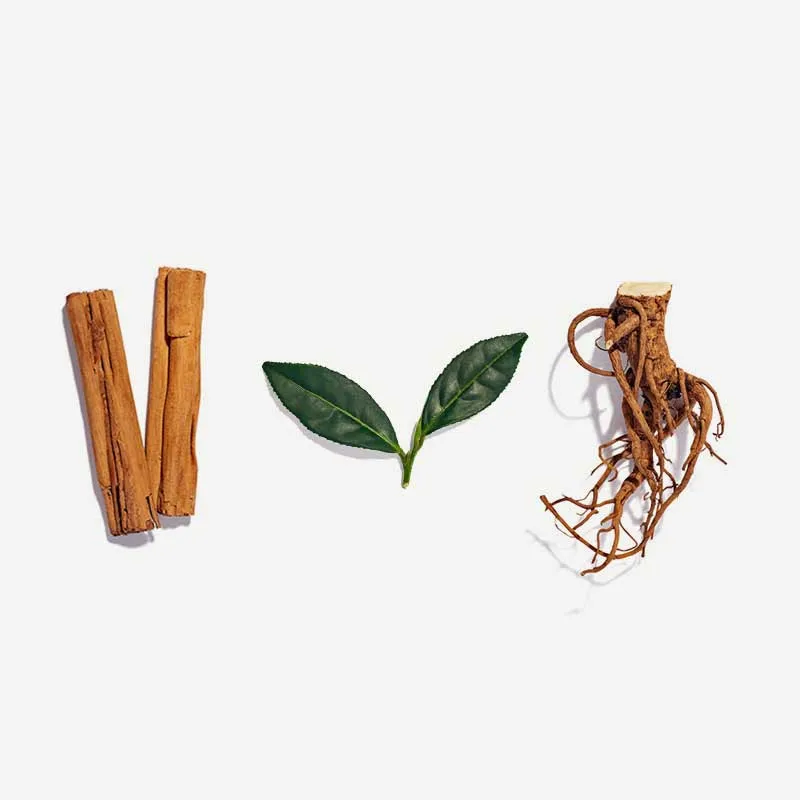Metabolism Tea Bags