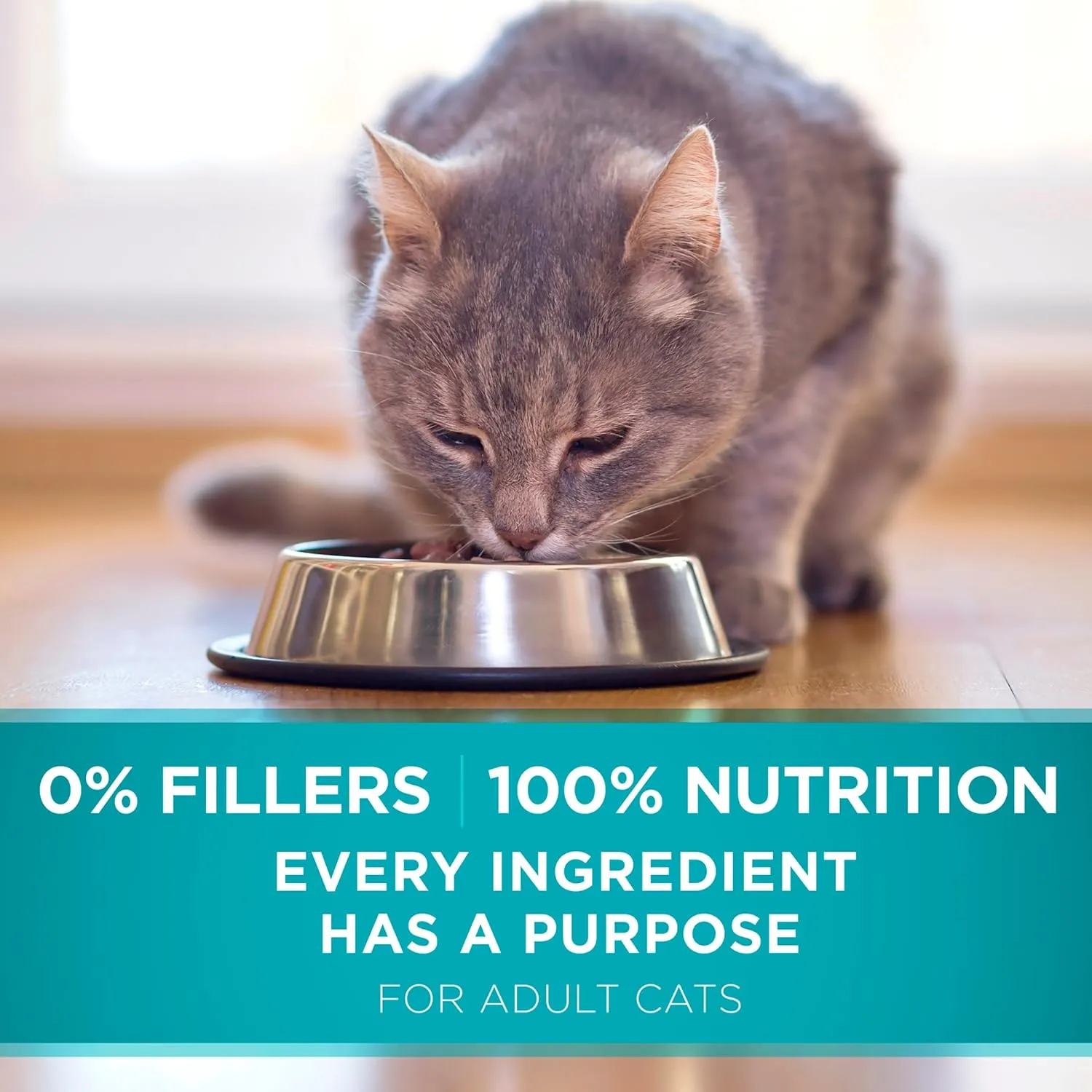 Purina ONE Natural Dry Cat Food, Tender Selects Blend With Real Chicken - (Pack of 4) 3.5 lb. Bags