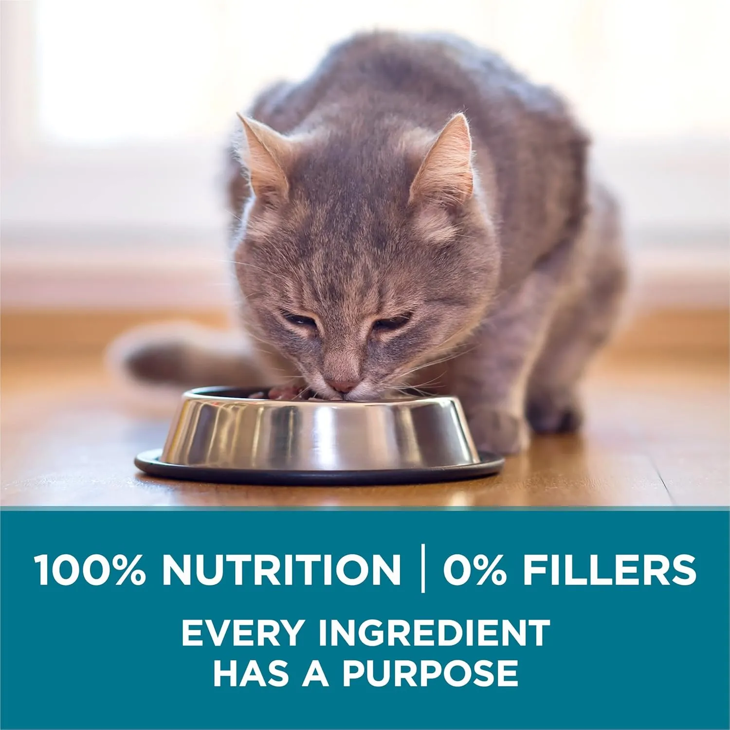 Purina ONE Natural Dry Cat Food, Tender Selects Blend With Real Chicken - (Pack of 4) 3.5 lb. Bags