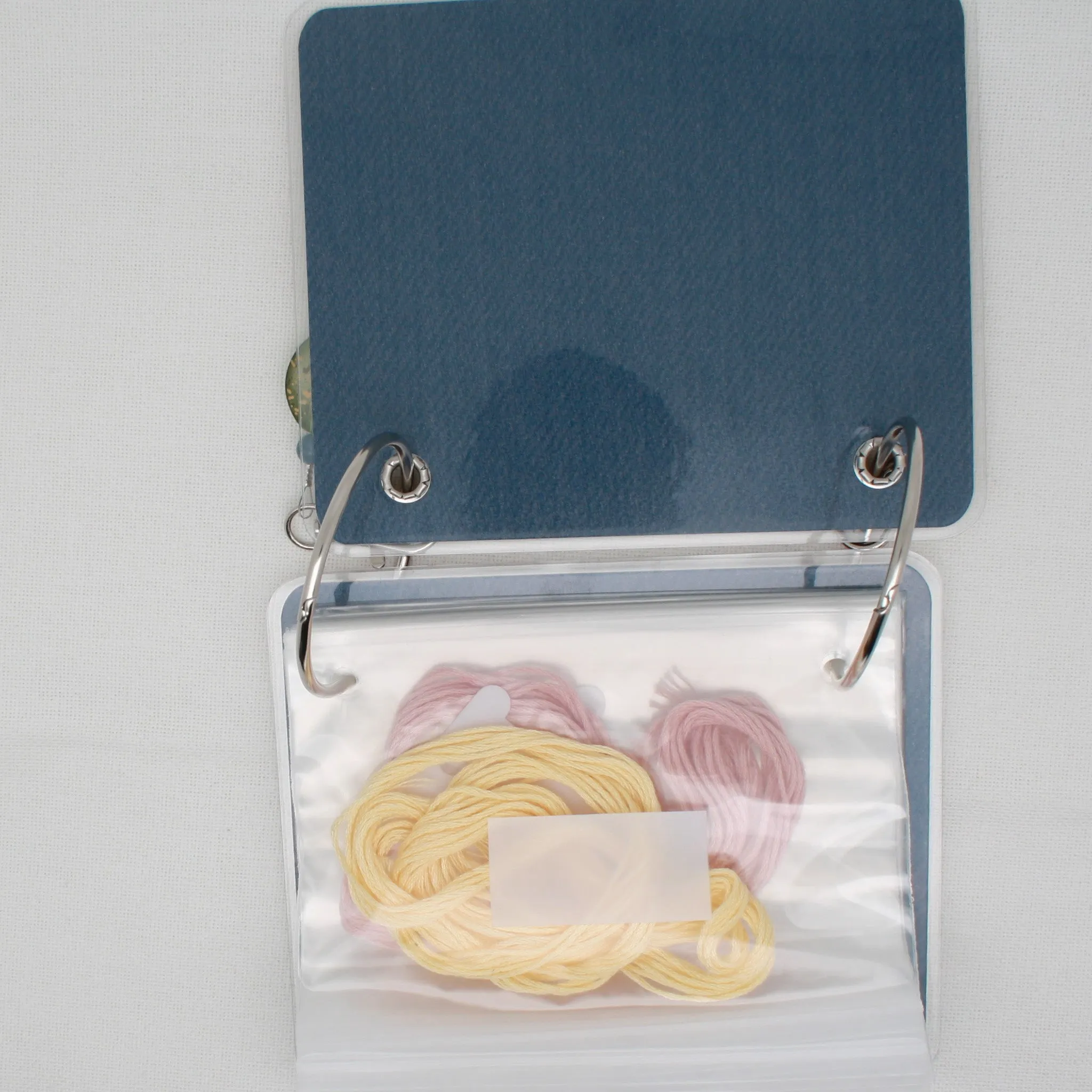 Shenanigan's House Floss Bag Book