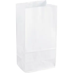 Sparco 99828 White Kraft Paper Bags (Pack of 12)
