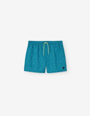 Striped Swim Shorts