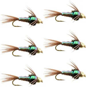 The Fly Fishing Place Tungsten Bead Head Nymph Fly Fishing Flies - Flashback Pheasant Tail Trout Fly - Nymph Wet Fly - 6 Flies Hook Size 12